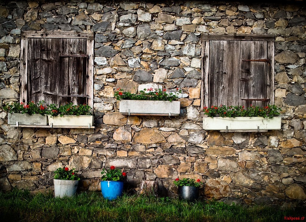 Flowers Decorate a Barn House