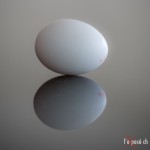 White Egg from Central Switzerland