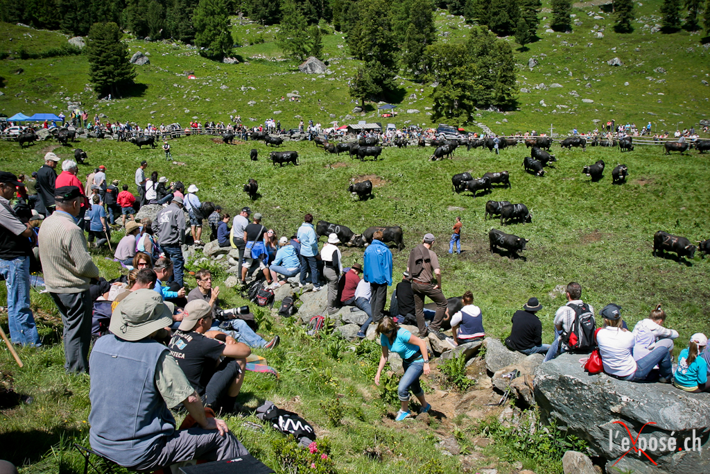 2012 Fest Inalpe Tortin Crowd.