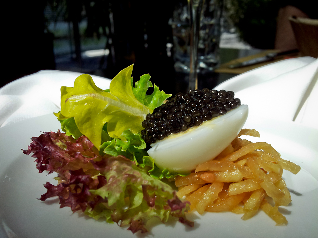 OONA  Caviar