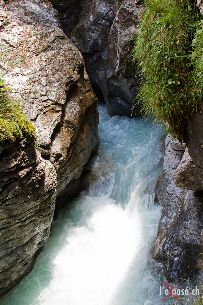 Torrential Flow of the Glacier Runoff in the Rosenlaui Gorge
